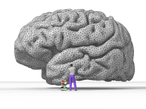 Rendering of human brain.